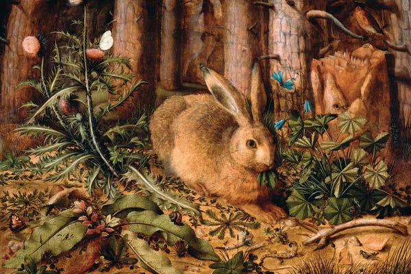 Rabbits: A Hare in the Forest, c. 1585  by Hans Hoffmann