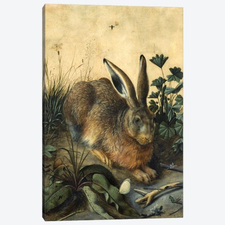 Hare  Canvas Print #BMN10474} by Hans Hoffmann Canvas Print