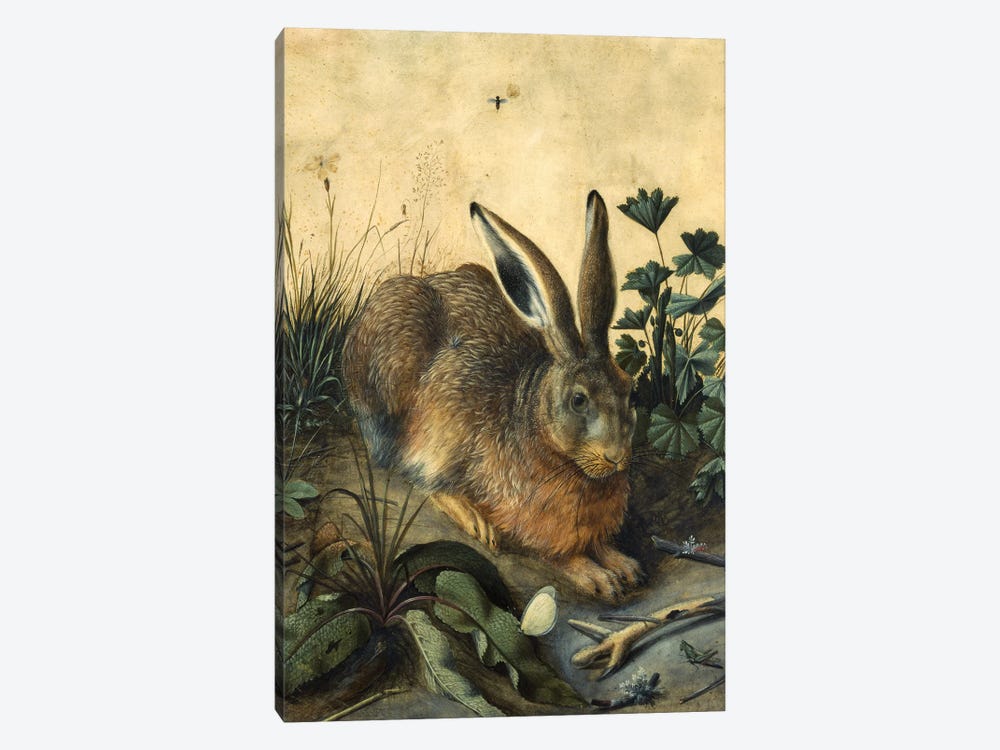 Hare  by Hans Hoffmann 1-piece Canvas Art