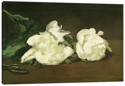 Branch of White Peonies and Secateurs, 1864  Canvas Art Print - Peony Art
