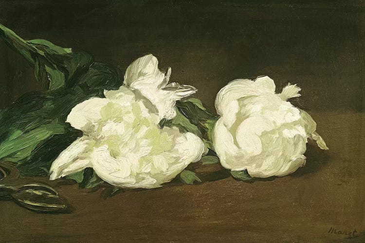 Branch of White Peonies and Secateurs, 1864  by Edouard Manet wall art