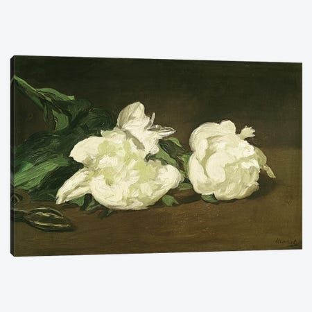 Branch of White Peonies and Secateurs, 1864  Canvas Print #BMN1050} by Edouard Manet Canvas Art Print