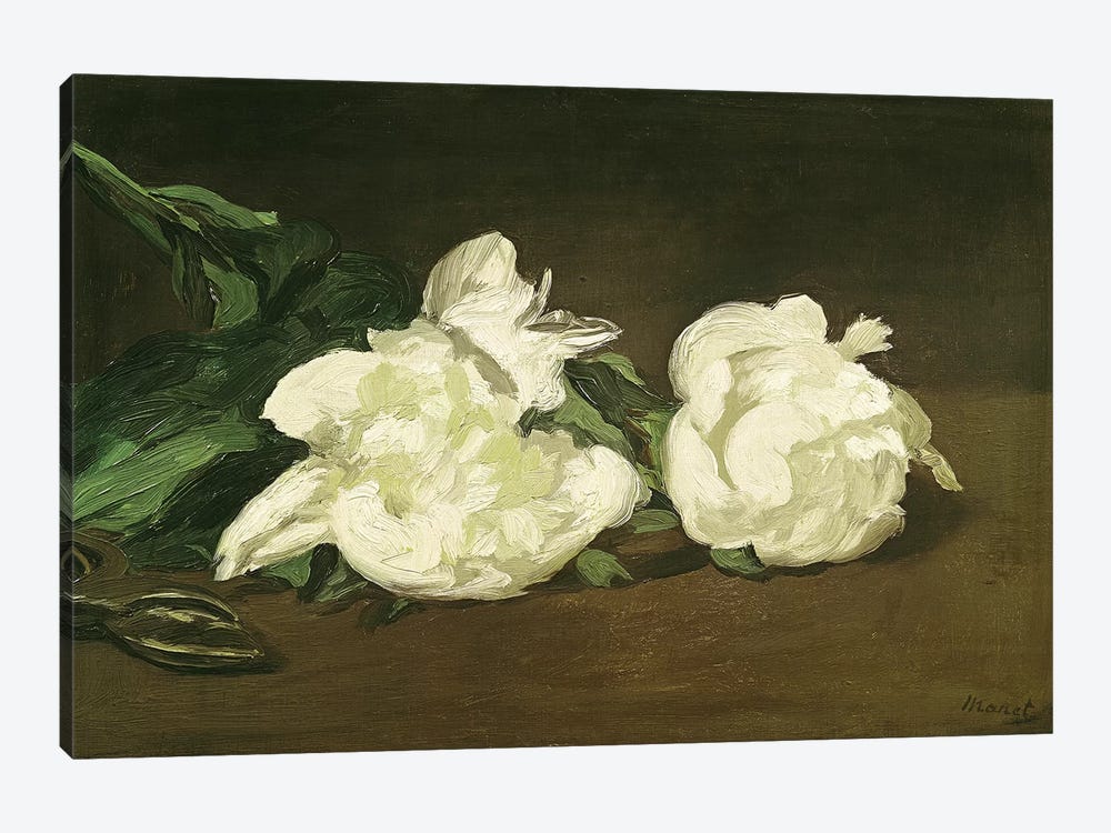 Branch of White Peonies and Secateurs, 1864  1-piece Canvas Artwork