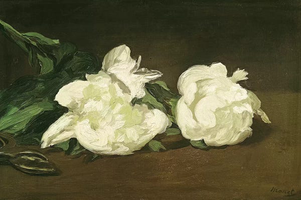 Edouard Manet: Branch of White Peonies and Secateurs, 1864  by Edouard Manet