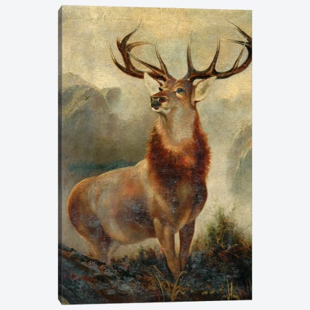 Stag At Bay  Canvas Print #BMN10527} by James Ford Art Print