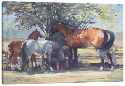 Horses - Summer Flies, 1990  Canvas Art Print