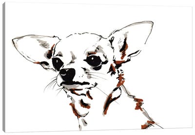 Big Ears the Chihuahua, 2012  Canvas Art Print