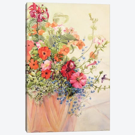 Petunias, Lobelias, Busy Lizzies and Fuschia in a Terracotta Pot  Canvas Print #BMN10576} by Joan Thewsey Canvas Art