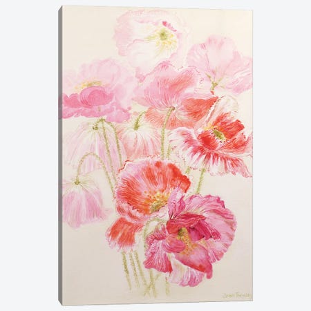 Shirley Poppies  Canvas Print #BMN10581} by Joan Thewsey Canvas Artwork