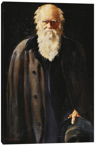 Portrait of Charles Darwin, standing three quarter length, 1897  Canvas Art Print
