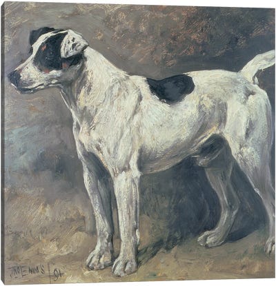 A Jack Russell, 1891 Canvas Art Print