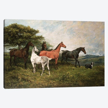 Mares and Foal with a Sheepdog Canvas Print #BMN10690} by John Emms Canvas Art