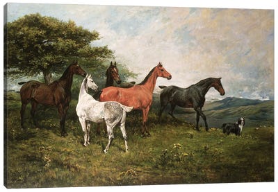 Mares and Foal with a Sheepdog Canvas Art Print