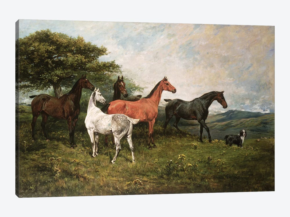 Mares and Foal with a Sheepdog 1-piece Art Print