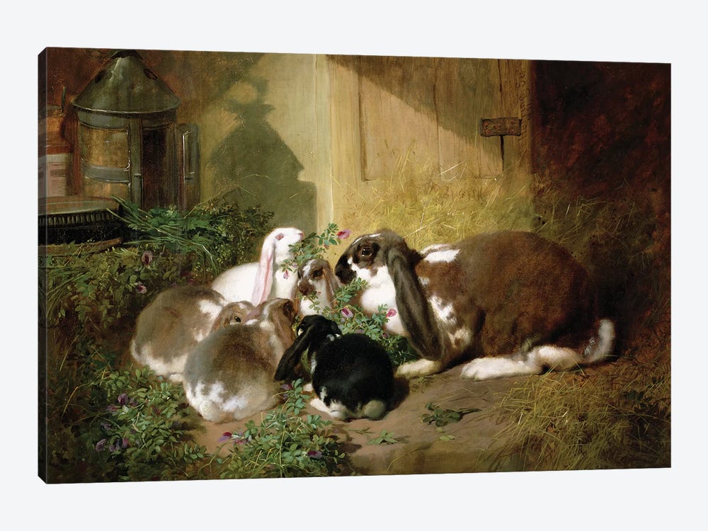 A lop-eared doe rabbit with her young by John Frederick Herring Sr 1-piece Art Print