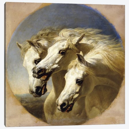 Pharaoh's Horses, 1848  Canvas Print #BMN10696} by John Frederick Herring Sr Canvas Art Print