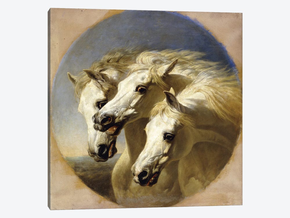 Pharaoh's Horses, 1848  by John Frederick Herring Sr 1-piece Art Print