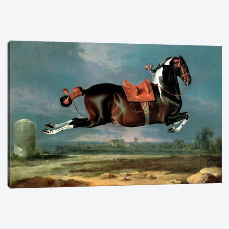 The piebald horse 'Cehero' rearing Canvas Print #BMN1069} by Johann Georg Hamilton Canvas Art
