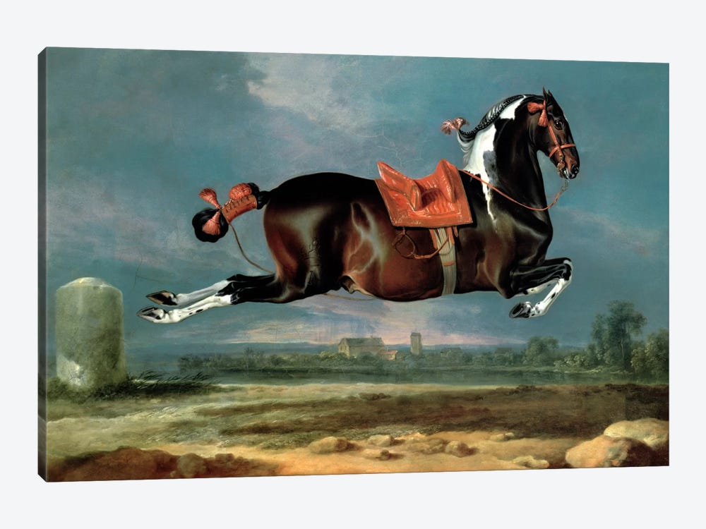 The piebald horse 'Cehero' rearing by Johann Georg Hamilton 1-piece Canvas Wall Art