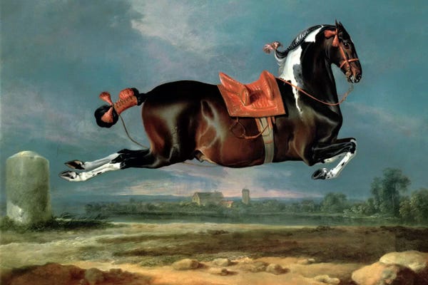 Fields, Grasslands & Meadows: The piebald horse 'Cehero' rearing by Johann Georg Hamilton