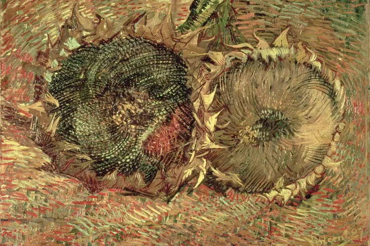 Two Cut Sunflowers, 1887 