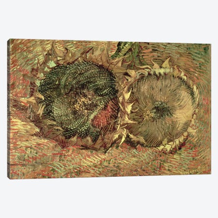 Two Cut Sunflowers, 1887  Canvas Print #BMN1075} by Vincent van Gogh Canvas Artwork