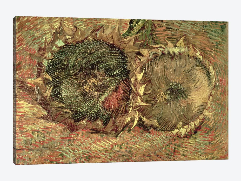 Two Cut Sunflowers, 1887  by Vincent van Gogh 1-piece Art Print