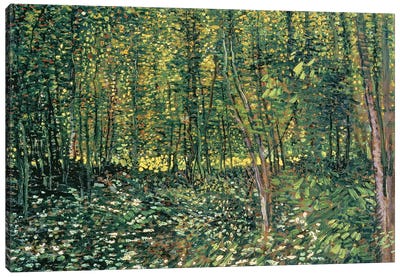 Trees and Undergrowth, 1887  Canvas Art Print - Forest Art
