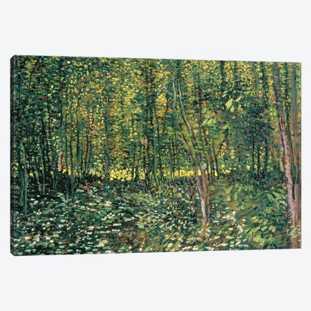 Trees and Undergrowth, 1887  Canvas Print #BMN1076} by Vincent van Gogh Canvas Art