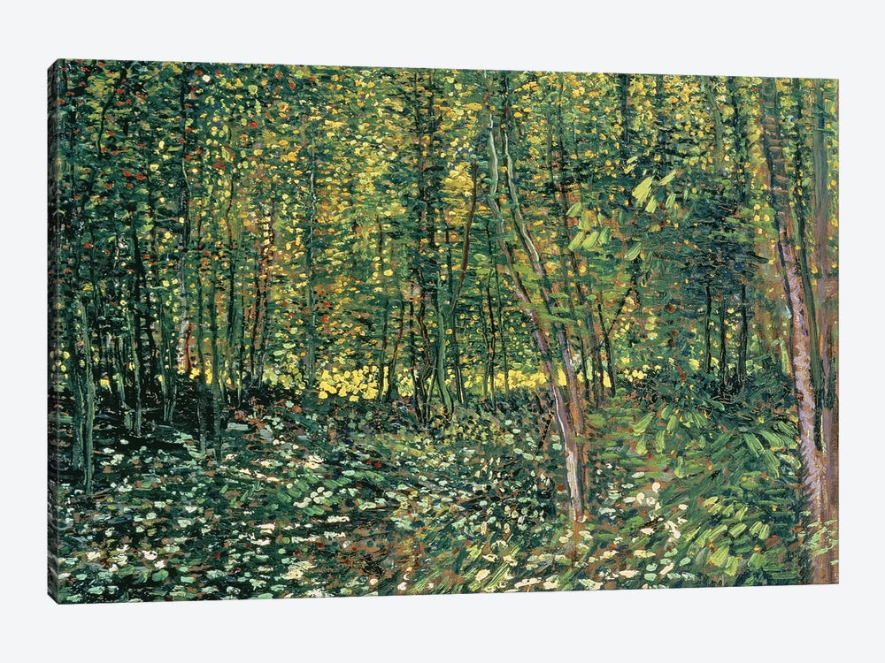 Trees and Undergrowth, 1887  by Vincent van Gogh 1-piece Canvas Wall Art