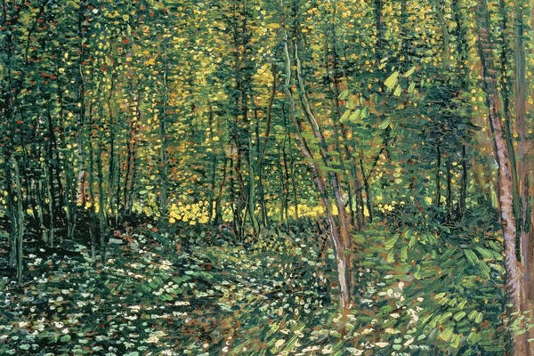 Post-Impressionism: Trees and Undergrowth, 1887  by Vincent van Gogh