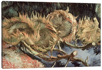 Four Withered Sunflowers, 1887  Canvas Art Print - Vincent van Gogh