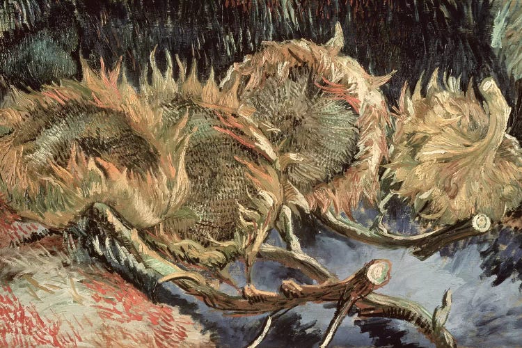 Four Withered Sunflowers, 1887 