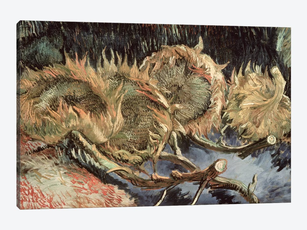 Four Withered Sunflowers, 1887  by Vincent van Gogh 1-piece Art Print