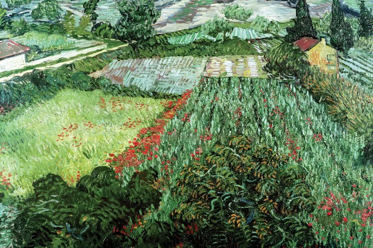 Field with Poppies, 1889 