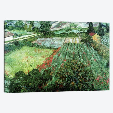 Field with Poppies, 1889  Canvas Print #BMN1078} by Vincent van Gogh Art Print