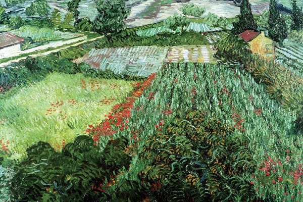 Post-Impressionism: Field with Poppies, 1889  by Vincent van Gogh