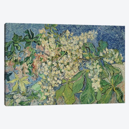 Blossoming Chestnut Branches, 1890  Canvas Print #BMN1079} by Vincent van Gogh Art Print