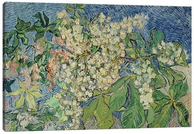 Blossoming Chestnut Branches, 1890  Canvas Art Print - All Things Van Gogh