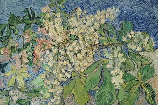 Vincent van Gogh: Blossoming Chestnut Branches, 1890  by Vincent van Gogh