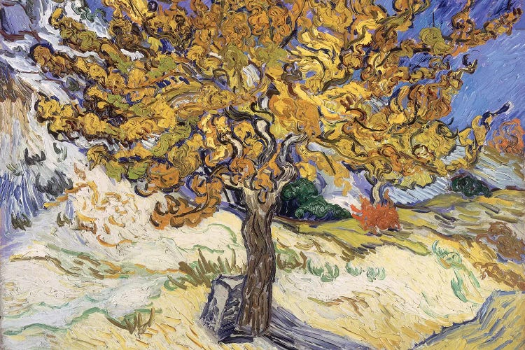 Mulberry Tree, 1889  by Vincent van Gogh wall art