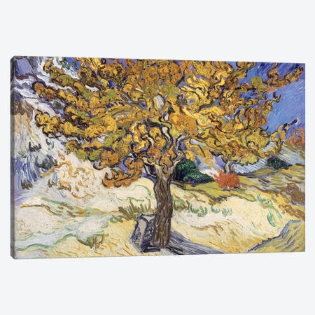 Mulberry Tree, 1889  Canvas Print #BMN1080} by Vincent van Gogh Canvas Art