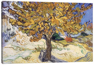 Mulberry Tree, 1889  Canvas Art Print - All Things Van Gogh