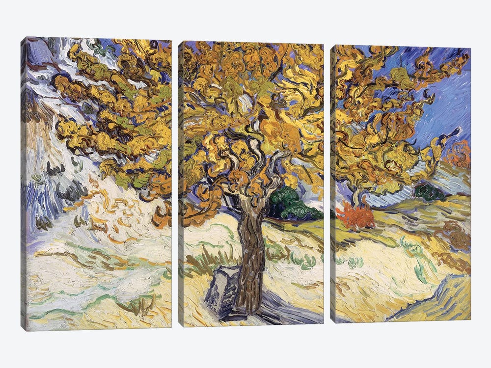 Mulberry Tree, 1889  by Vincent van Gogh 3-piece Art Print