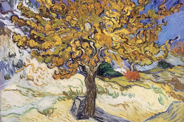 Large Floral & Botanical Art - Canvas Prints: Mulberry Tree, 1889  by Vincent van Gogh