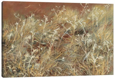 Thistles, 1885-89  Canvas Art Print - John Singer Sargent 