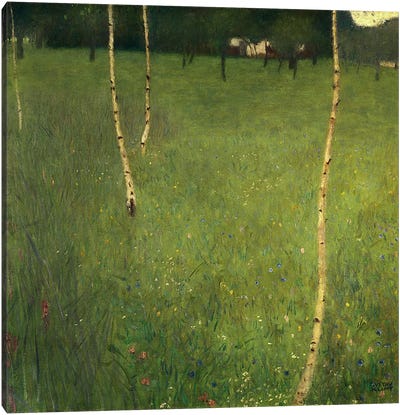 Farmhouse with Birch Trees, 1900  Canvas Art Print - Countryside Art