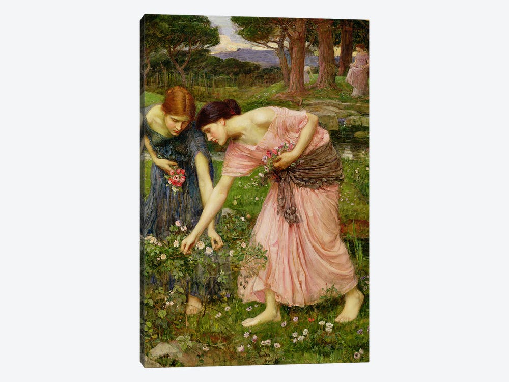 Gather Ye Rosebuds While Ye May', 1909  by John William Waterhouse 1-piece Art Print
