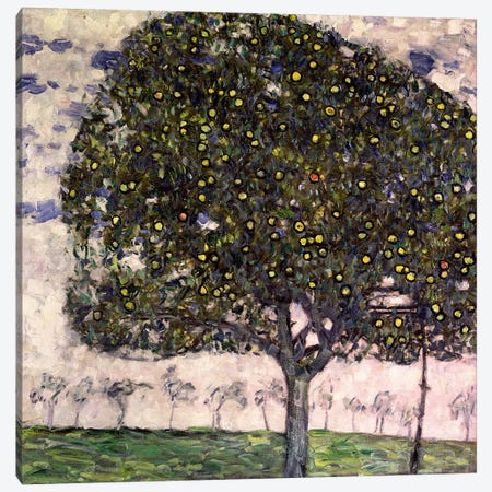 The Apple Tree II, 1916 Canvas Print #BMN1086} by Gustav Klimt Canvas Print