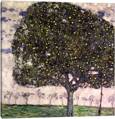 The Apple Tree II, 1916 Canvas Art Print - Apple Trees